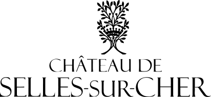 Château de Selles-sur-Cher Château de Selles-sur-Cher